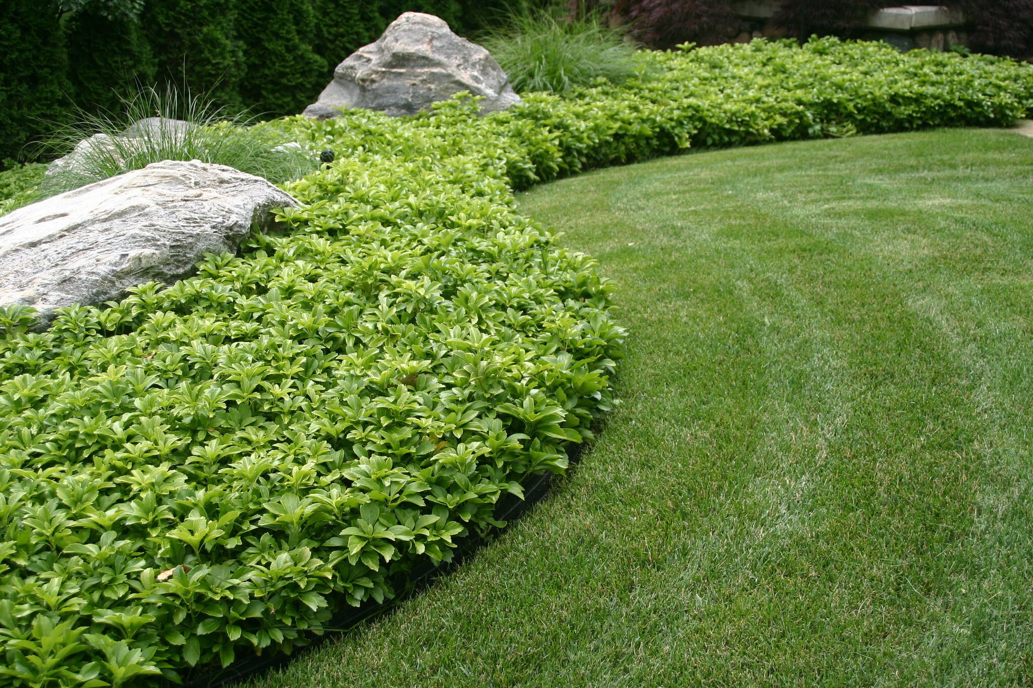 This metal edging creates a clean boundary between a plant bed and a grass lawn.