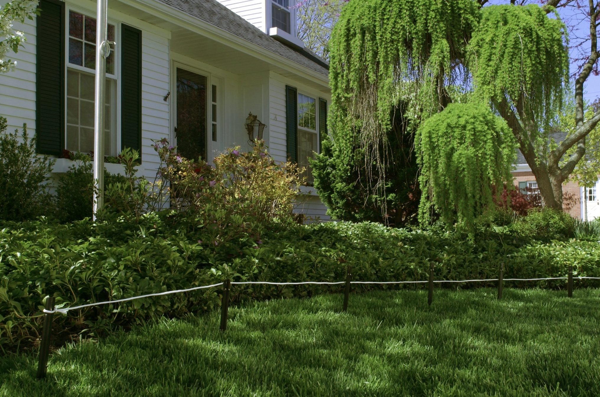 Stakes with rope are placed along shrubs and trees to show where edging will go in the landscape plan.