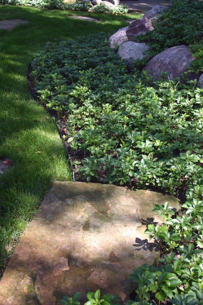 This image depicts aluminum edging separating a plant bed and a lawn.