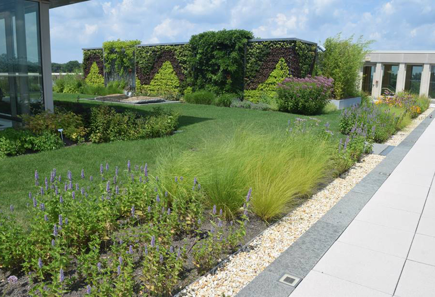 This image depicts a commercial landscape project with plants, grass, green walls and pathways with Permaloc landscape edging solutions.